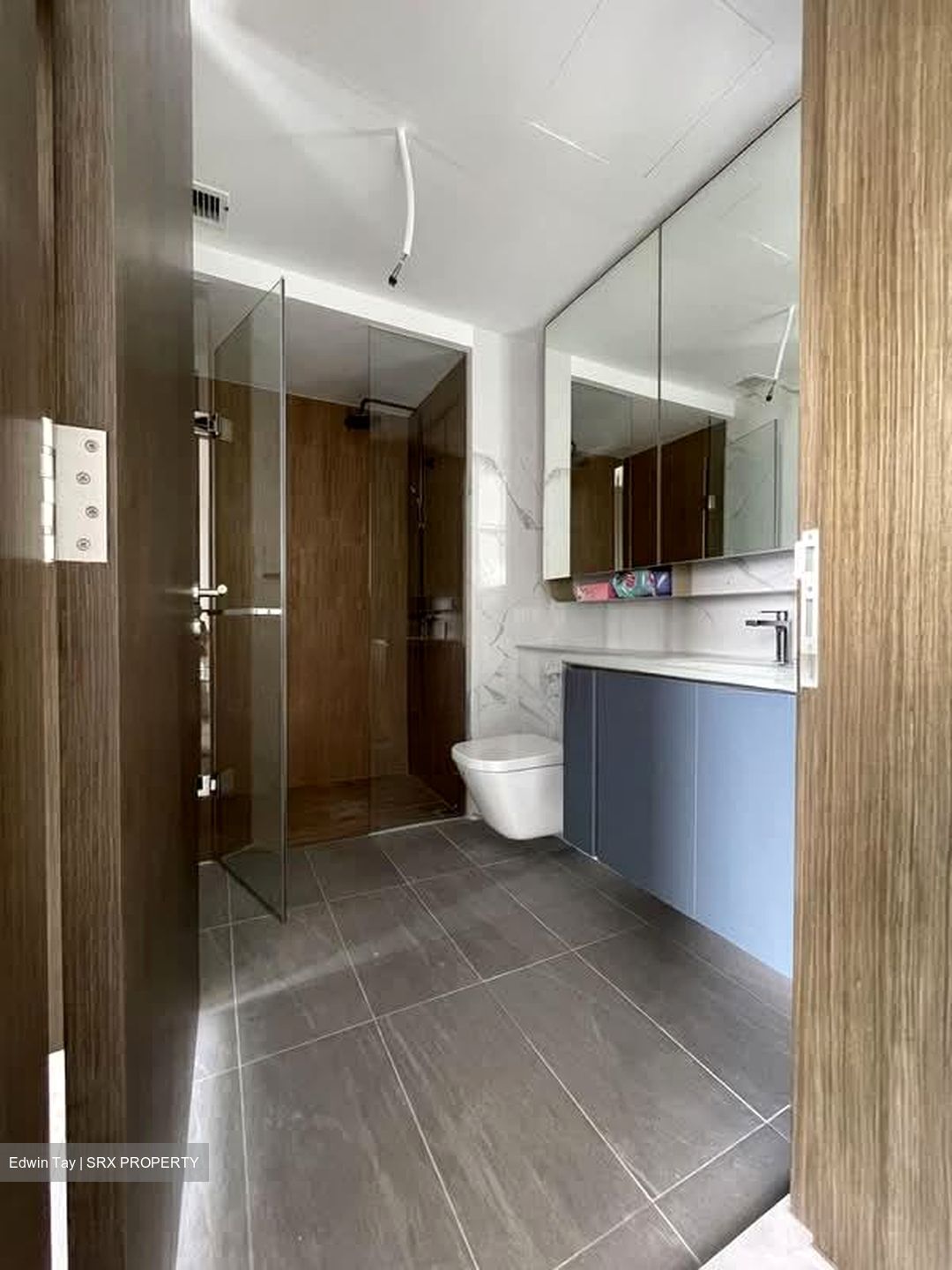 Amo Residence (D20), Apartment #530043591